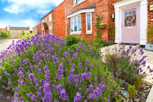 PUMP LANE- click for photo gallery